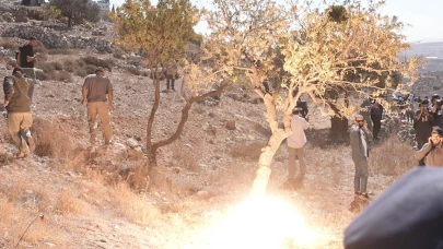 İsrailliler, Batı Şeria'da zeytin ağaçlarını kesti