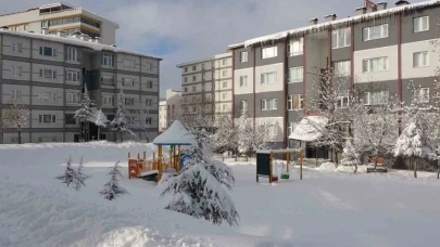 Bitlis'te kar alarmı: 80 köy yolu kapanırken, ekipler çalışmalarını sürdürüyor