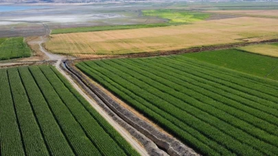 Çiftçilere 3,3 milyar lira destek ödemesi bugün yapılacak!