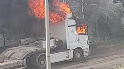 Adıyaman'da park halindeki tır alevlere teslim oldu!