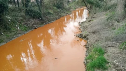 Sakarya'da Dinsiz Deresi'nin rengi kirlilik nedeniyle kırmızıya döndü