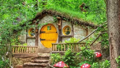 Ormanya bayramda açık olacak mı?