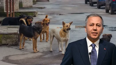 Yerlikaya’dan başıboş sokak köpeklerine yönelik yeni tedbirler