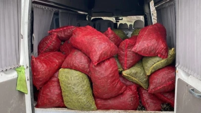Samsun'da kaçak midye avcılığına büyük darbe: 4 kişiye 151 bin lira ceza