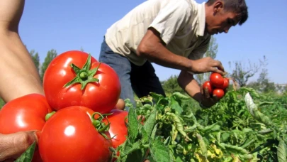 Ankara’da sosyal gelişme için 5 yenilikçi proje