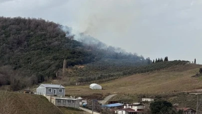 Yalova Çınarcık'ta yangın
