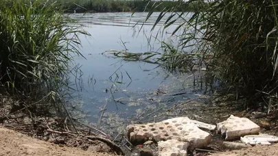 Seyhan Nehri'ndeki su çekilmesi atık su problemini ortaya çıkardı: Çevre felaketi uyarısı!
