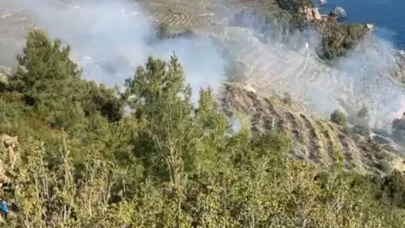 Antalya’da muz bahçesinde yangın paniği! Alevler 6 saatte kontrol altına alındı
