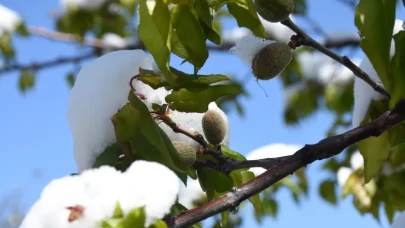 Meteoroloji’den kritik uyarı: İç ve Doğu Anadolu’da zirai don alarmı!