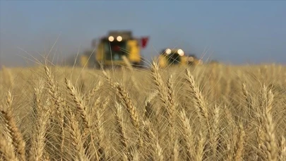 Bakan Yumaklı’dan çiftçilere müjde: Destek ödemeleri yarın hesaplara aktarılacak
