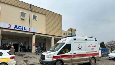 İneğe çarpan otomobilin sürücüsü hayatını kaybetti