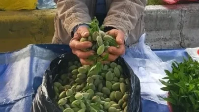 Baharın habercisi pazar tezgahında yerini aldı: Kilosu 250 TL
