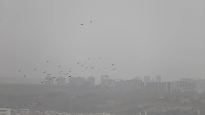 Şanlıurfa'da toz taşınımı etkili oluyor