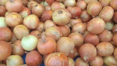 Adana'da soğan fiyatları çiftçiyi zor durumda bıraktı