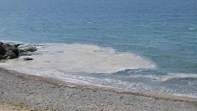 Marmara Denizi'nde müsilaj korkusu yeniden başladı!