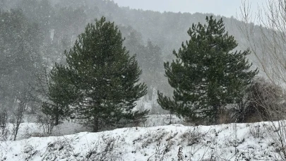 Çankırı'da kar yağışı etkili oluyor: Yüksek kesimler beyaza büründü!