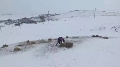 Bitlis yaylalarında kar engeli