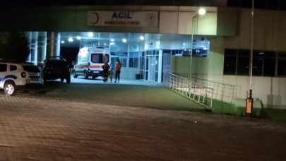 Bingöl'de iki araç kafa kafaya çarpıştı! 8 kişi yaralandı