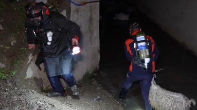 Kırıkkale'de kötü koku, 23 küçükbaş hayvanı telef etti!