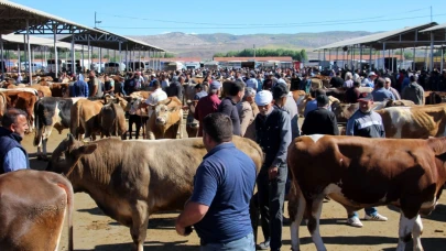 Aydın'da şap hastalığı alarmı: Hayvan pazarı ikinci bir emre kadar kapatıldı