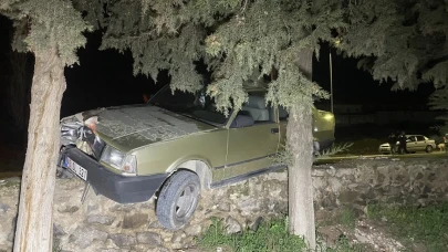 Manisa'da sürücüsü kalp krizi geçiren otomobil ağaca çarptı! 1 ölü