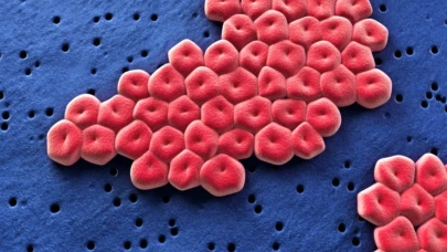 Malezya'da antibiyotik dirençli ölümcül bakteri alarmı!