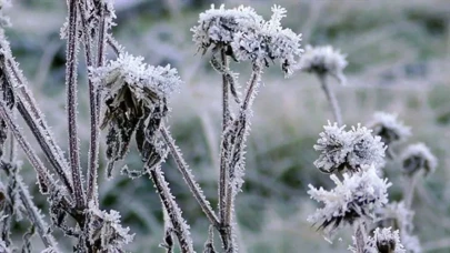 Meteoroloji'den kritik uyarı: Kar geliyor, zirai don kapıda!