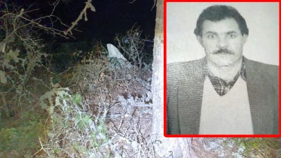 Kütahya'da feci ölüm: Ağaçtan düşerek can verdi!
