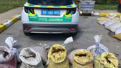 Aydın'da 1 ton 800 kilogram salyangoz ele geçirildi!