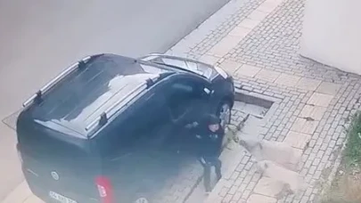 İlkokul öğrencisi başıboş köpeklerin saldırısına uğradı