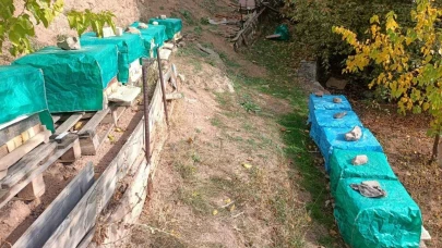 Gümüşhane’de şiddetli fırtına arı kovanlarını parçaladı