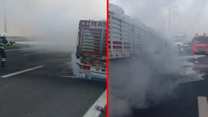 Hatay'da gübre yüklü tır yandı!