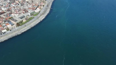 Marmara Denizi, deniz çayırları ve pina midyeleri ile kurtarılacak!