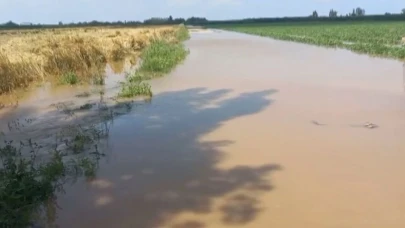 Adana’da şiddetli yağmur ve dolu tarım ürünlerini vurdu