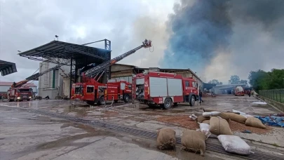 Sakarya’da fındık fabrikasında korkutan yangın
