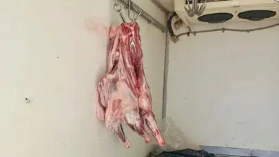 Hatay'da hijyen skandalı! Kaynağı belirsiz 34 kilo et ele geçirildi