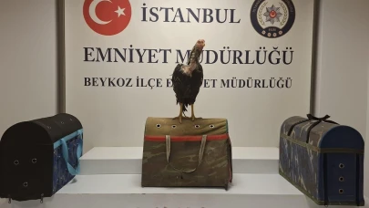 Horoz dövüşüne polis baskını!