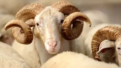 2025 Kurban Bayramı ne zaman? Tatil süresi ve arife günü detayları belli oldu!