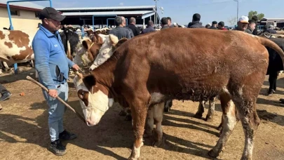 2025 Kurban Bayramı ne zaman? Kurban Bayramı tatili 9 gün olur mu?