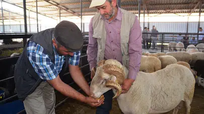 Kurban Bayramı ne zaman?