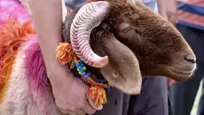 Kurban farz mı, sünnet mi, vacip mi?