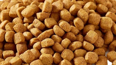 İzmir’de 14 ton sahte kedi-köpek maması ele geçirildi!