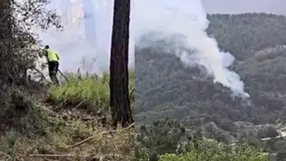 Antalya'da orman yangını