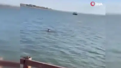 Mogan Gölü’nde şaşkınlık yaratan anlar: “Kurtuldum” diye bağırarak göle atladı!