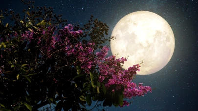 2025 Çiçek Dolunayı ne zaman görülecek? Türkiye’den izlenebilecek mi?