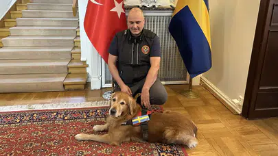 6 Şubat depremlerinde 18 kişiyi göçük altından kurtaran kahraman köpek vefat etti