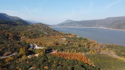 Isparta’da ormanlara girişler yasaklandı