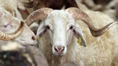 2025 Kurban Bayramı ne zaman? Bayram tatili kaç gün sürecek, 9 gün olacak mı?