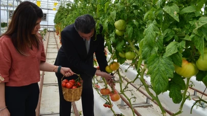 Topraksız tarımda devrim