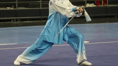 Wushu Kung Fu projesi